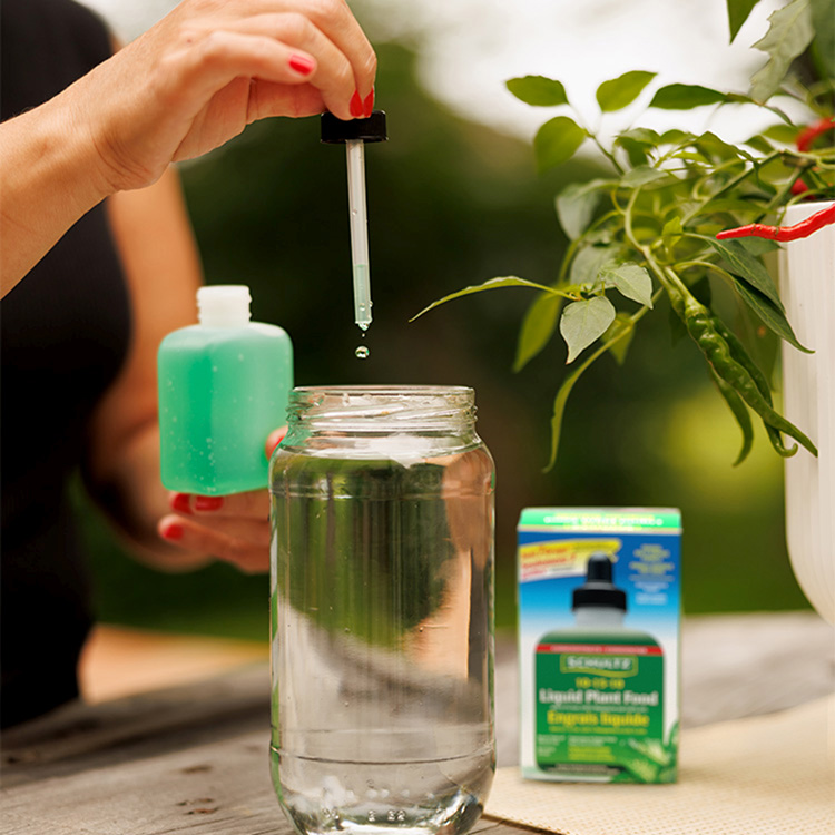 engrais-pour-plantes-schultz-comment-utiliser-etape-2-ajouter-7-gouttes