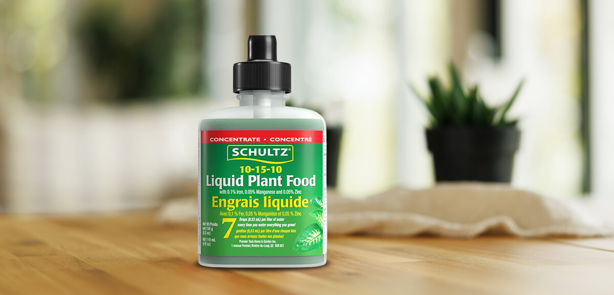 schultz-indoor-plant-care-for-beginners-09