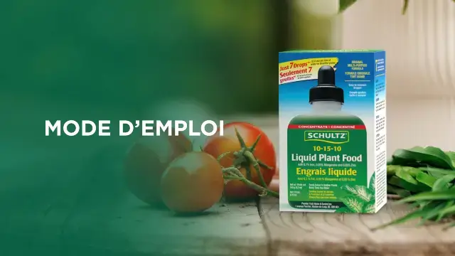 Comment utiliser l’engrais liquide tout usage 10-15-10 de Schultz