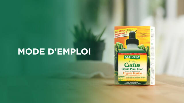 Comment utiliser l’engrais liquide pour cactus Schultz 2-7-7