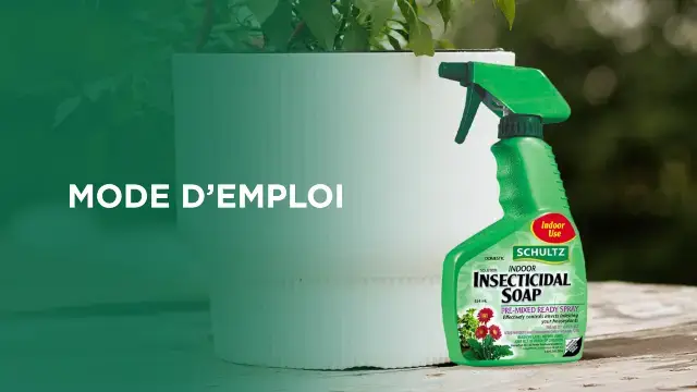 How to Use Schultz Indoor Insecticidal Soap