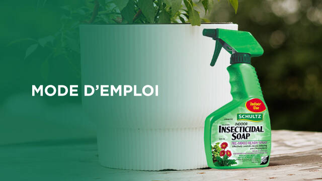 Comment utiliser le savon insecticide pour plantes d’intérieur Schultz