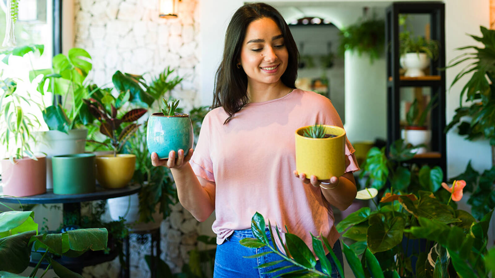 schultz-how-to-care-for-succulents-01