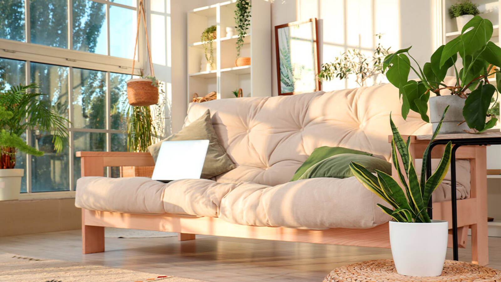 schultz-do-houseplants-purify-air-01
