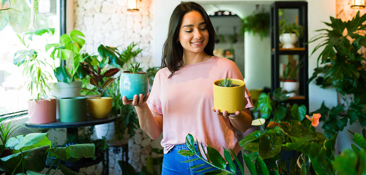 schultz-how-to-care-for-succulents-01